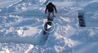 Хозяева сделали для собаки снежный лабиринт, чтобы ей было где развлечься