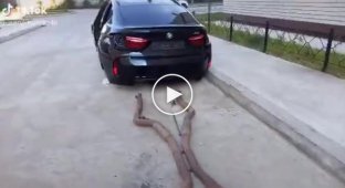 Вот почему в Воронеже лучше не оставлять на улице BMW X6