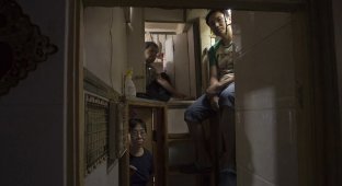 «Дома-гробы» Гонконга, которые ООН назвала «оскорблением человеческого достоинства (14 фото)