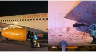 Сотрудники аэропорта показали последствия столкновения пассажирского самолета с косулей (4 фото + 1 видео)