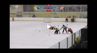 В Саратове во время финала детского хоккейного турнира команды Айсберга и Олимпа устроили драку