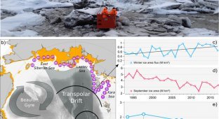 Потепление в Арктике сломало ледовый конвейер (1 фото)