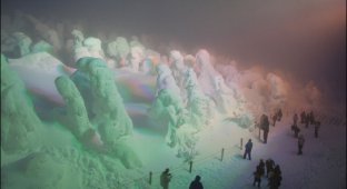 Японские «снежные монстры» (17 фото)