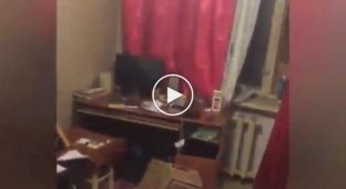 Видео с квартиры краснодарских каннибалов
