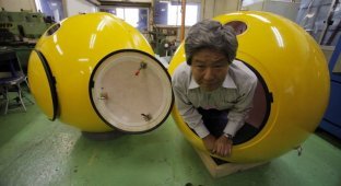 Японцы создали миниатюрный Ноев ковчег (10 фото)