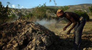 Торговля древесным углем на Гаити (14 фото)