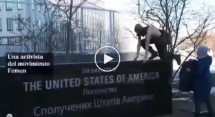 Femen слегка оголились у опустевшего посольства США в Киеве
