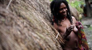 Племя Дани из Западной Папуа (23 фото) (эротика)