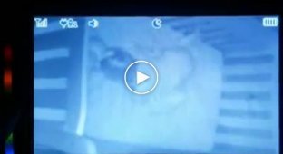 Видеоняня засняла, как нечто невидимое тянет спящего ребенка за ногу