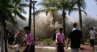 Топ 10 самых больших в мире цунами (11 фото)