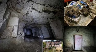 Пещера на миллион долларов: в Великобритании нашли подпольную фабрику конопли (10 фото)