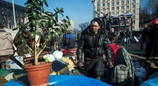 Детали Майдана (43 фото)