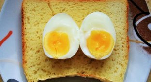 Что с вами будет, если вы будете есть 1 яйцо в день (2 фото)