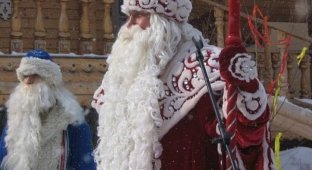 Дед Мороз - красный нос (21 фото)