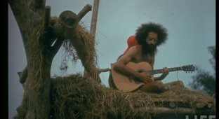 Woodstock 1969 (52 фотографии)