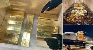 Польша вывезла из Британии 100 тонн золота (6 фото)