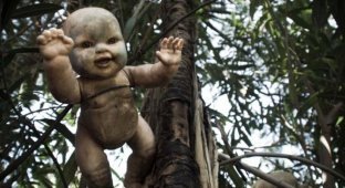 Ла Исла де ла Мюнека — остров в Мексике, «населенный» ужасными разлагающимися куклами (14 фото)
