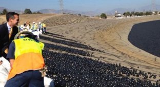 В водохранилище Лос-Анджелеса сбросили 96 миллионов шаров (6 фото + 2 видео)