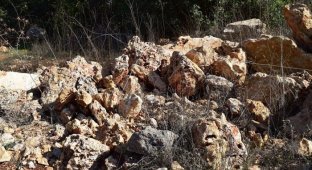 Искусно замаскированные мины (15 фото)