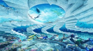В Майами-Бич откроется парк подводных скульптур длиной 11 километров (6 фото)