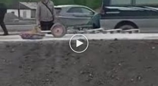 Семья южносахалинцев ворует втихую тротуарную плитку, пока рабочие на обеде