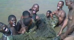 В ЮАР три брата погибли при попытке изнасиловать крокодила (2 фото)