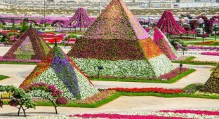 Уникально красивый сад в Дубае (20 фото)