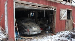 Раритетный Jaguar Mk II в старом заброшенном доме (14 фото)