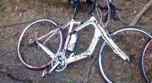 В столкновении велосипедиста и оленя выжил только велосипедист (6 фото)
