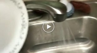Это видео идеально демонстрирует, как выглядит мытье посуды, если вы живете с соседями по комнате  , посуда, прикол