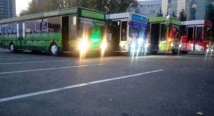 Свадебный кортеж из автобусов в Алматы (6 фото)