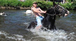 Цыганская конная ярмарка в Эпплби (16 фото)