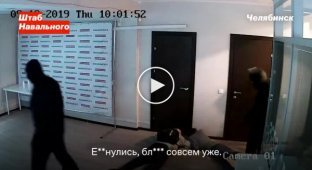Лечь на пол, обезьяны. Как врывались в штабы Навального