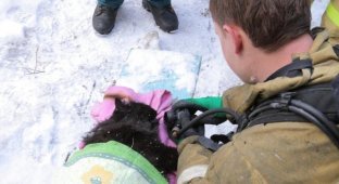 Смоленские пожарные спасли из горящей квартиры женщину и откачали ее кота (3 фото + 1 видео)