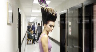 Альтернативное парикмахерское шоу-2011 (11 фото)
