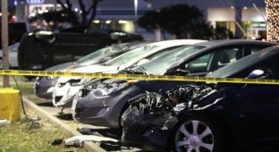 Один водитель разбил 18 новых Hyundai на 700000$ (11 фото)