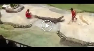 Крокодил напал на дрессировщика (жесть)