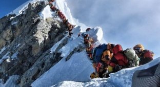 Погибнуть в очереди на Эверест (2 фото)