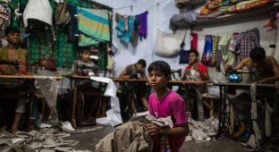Завод по пошиву одежды в Бангладеш с детьми в качестве швей (7 фото)