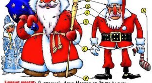 Разница между Дедом Морозом и Санта-Клаусом (21 фото)