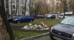 Ожидание и реальность: как прошло благоустройство дворов в районе Филевского парка (4 фото)