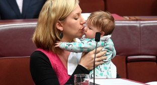 Сенатор покормила ребёнка грудью во время заседания парламента (5 фото)