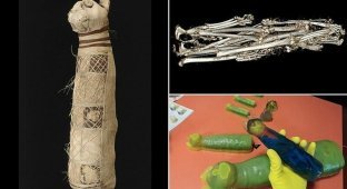 У древнеегипетской кошачьей мумии обнаружили три хвоста и пять задних лап (8 фото + 1 видео)