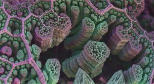 5 штук, которые учёные научились проделывать с бактериями (5 фото)