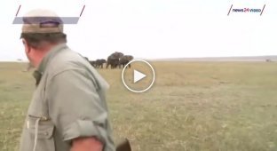 Охотники сняли убийство слона, а затем видео случайно попало в Сеть