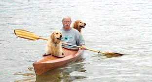 Мужчина создал особенную байдарку, чтобы брать своих собак в путешествия (6 фото)