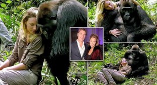 Миллионер-эколог познакомил жену со своей обезьяньей семьей (14 фото)