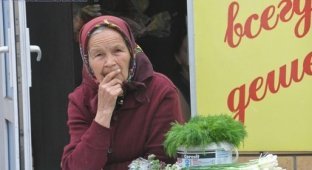 Российский депутат Максимова предложила ввести налог на дачные огороды (1 фото)