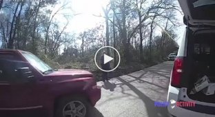 Как американские полицейские спасали застрявшего на дереве черного экстремала