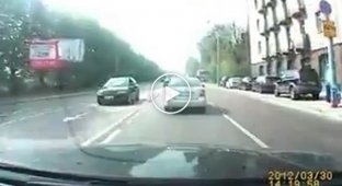 Почти Европа. Как водители реагируют на гусиный выводок на одной из самых оживленных магистралей Львова